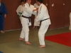 Les judokas sur tatamis