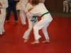 Les judokas sur tatamis