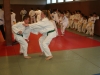 Les judokas sur tatamis