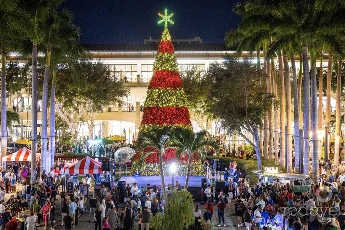 Tree Lighting Ceremony à Coral Gables - Aix Jumelages